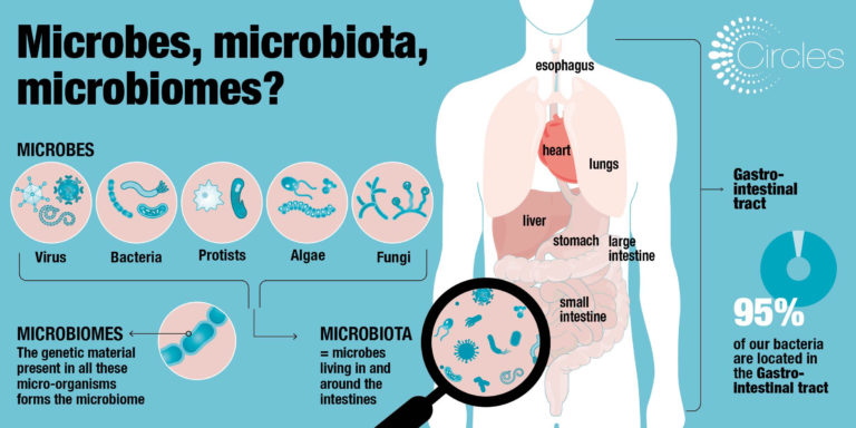 Mikrobiom